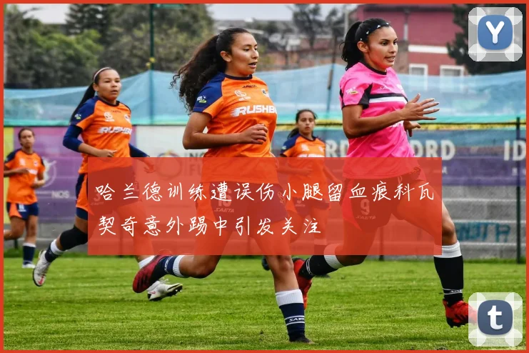 哈兰德训练遭误伤小腿留血痕科瓦契奇意外踢中引发关注
